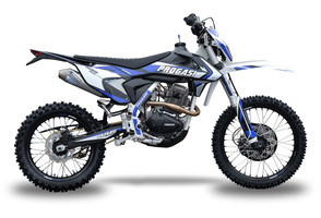 Мотоцикл Progasi Ibiza 300(ZS PR300) синий/белый