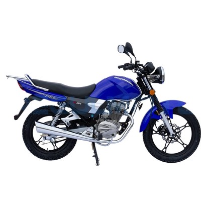 Мотоцикл Regulmoto SK 200-6 синий